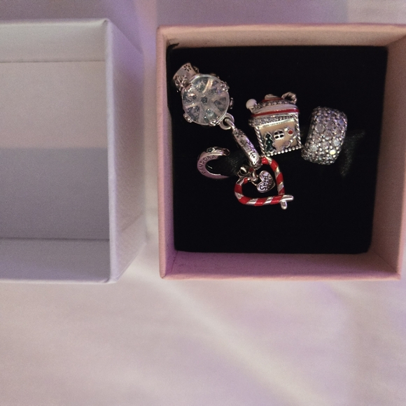 Bracelet Charms - Picture 3 of 4